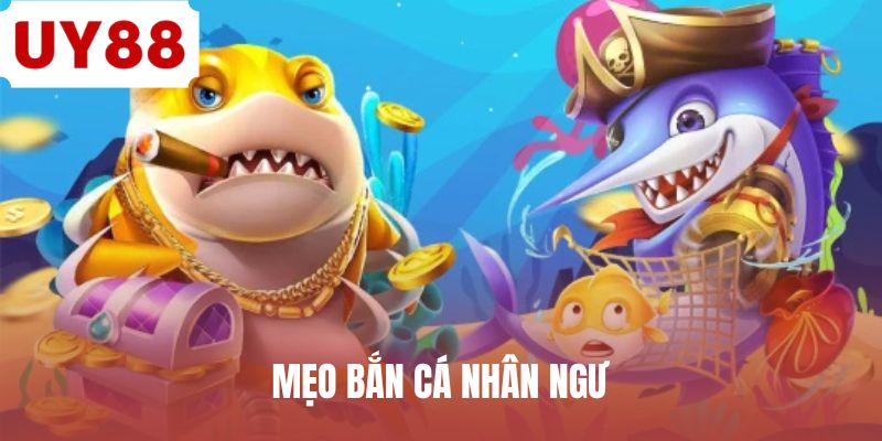 meo-ban-ca-nhan-ngu